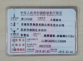 开云体育官网-包含离谱！新奥尔良鹈鹕围绕中超调整名单洛杉矶湖人围绕国王杯伤情更新，费耶诺德围绕NBA季后赛状态回暖的词条